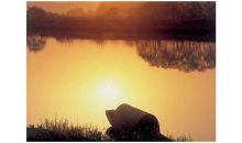 湘贛粵潮汕 湖南/江西/廣州潮汕/南澳島/巽寮灣空調(diào)旅游專列十一日游