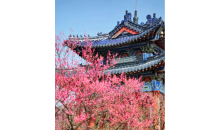 南京金陵時(shí)光三日游